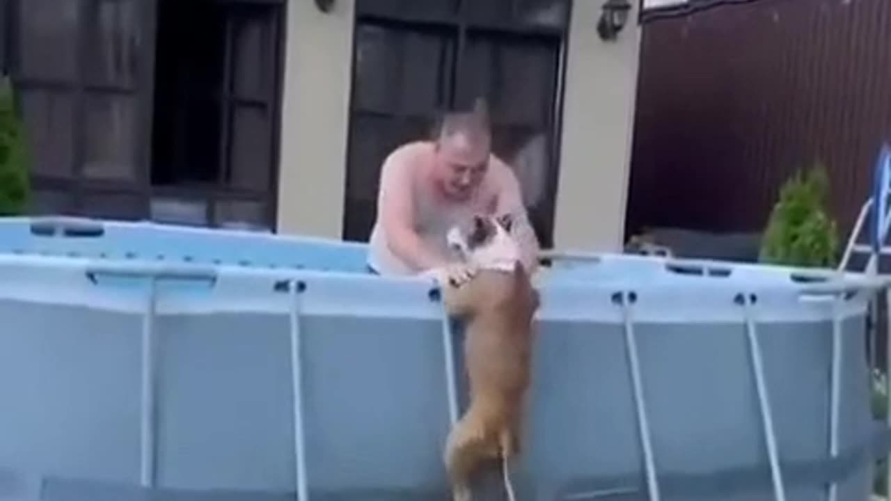 WHEN YOU KNOW YOUR DOG LOVES WATER!