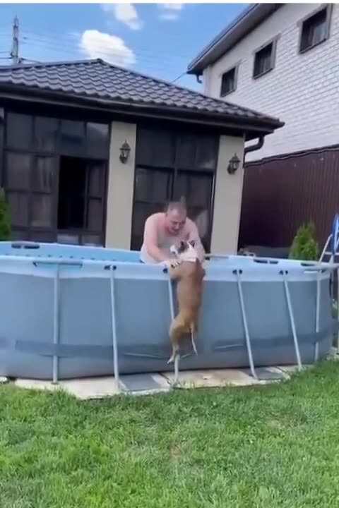 WHEN YOU KNOW YOUR DOG LOVES WATER!