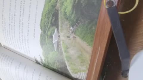 소현세자2,이정근,인조,황제,삼전도예,입조, 영의정최명길, 병조판서이시백, 정축하성, 기함대신, 심양 ,박황, 신중론,보안유지,남별궁,송환,명나라,두뇌회전,창경궁,소청,도망포로송환