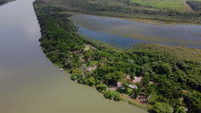 Sport Fishing river teles pires - amazon Brazil