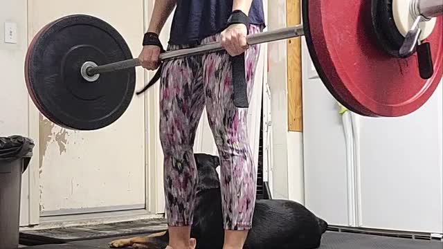 Wk27 Barbell Row 92x6x3