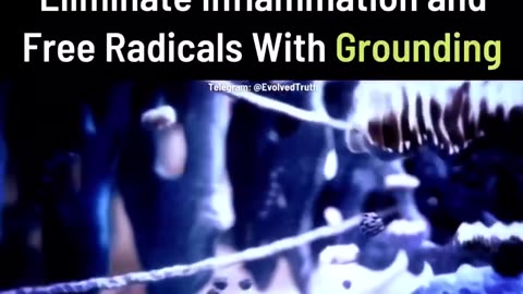 ELIMINATE INFLAMMATION AND FREE RADICALS WITH GROUNDING