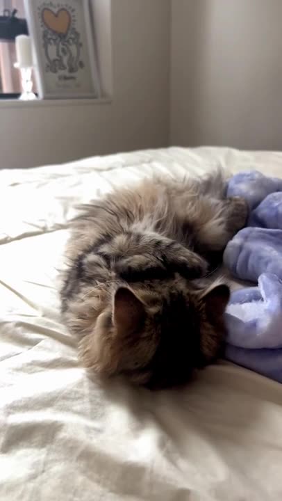 Don’t want to go to work after long weekend 😔