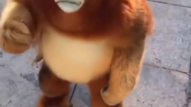 É um macaco ou um ursinho de pelúcia?