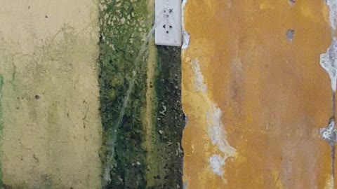 Do I Call an Electrician or a Plumber?