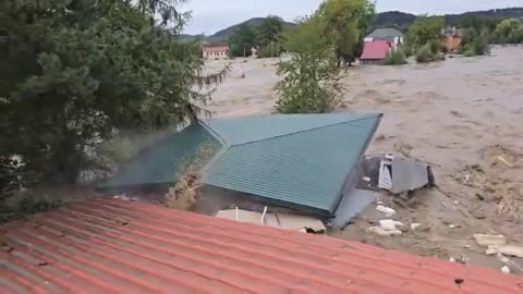 Wizy, Ziobro, bobry... ile jest śmiertelnych ofiar powodzi Tuska?