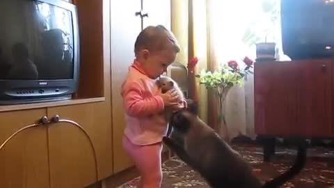 Cat play with child funny cute moments enjoy