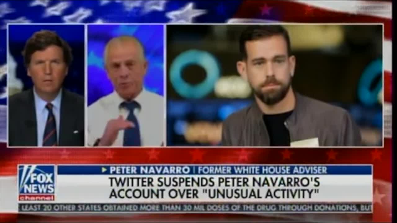 Former trade adviser Peter Navarro canceled by Twitter