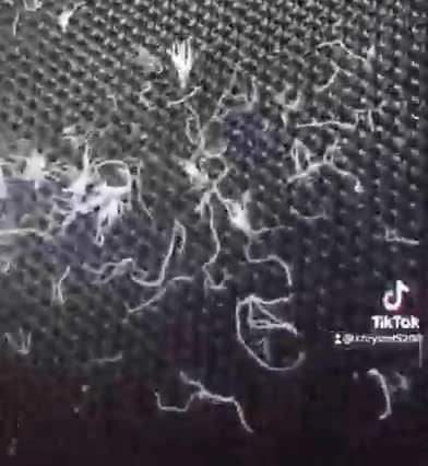 LIVE NANO Hydra Organisms - GeoEngineering