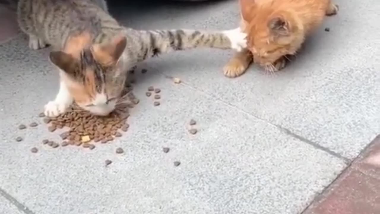 Someone is a little greedy 🤭