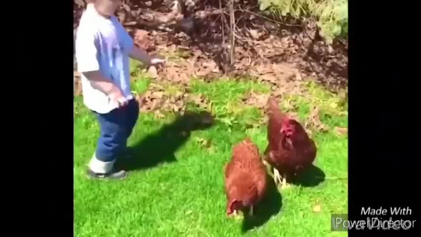 Chickens are savage!!!!!!