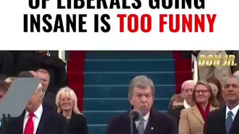 This is so insane its funny