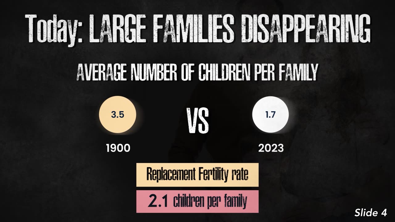 The Collapse of Western Civilization