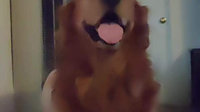 Video of buddy danving on tiktok