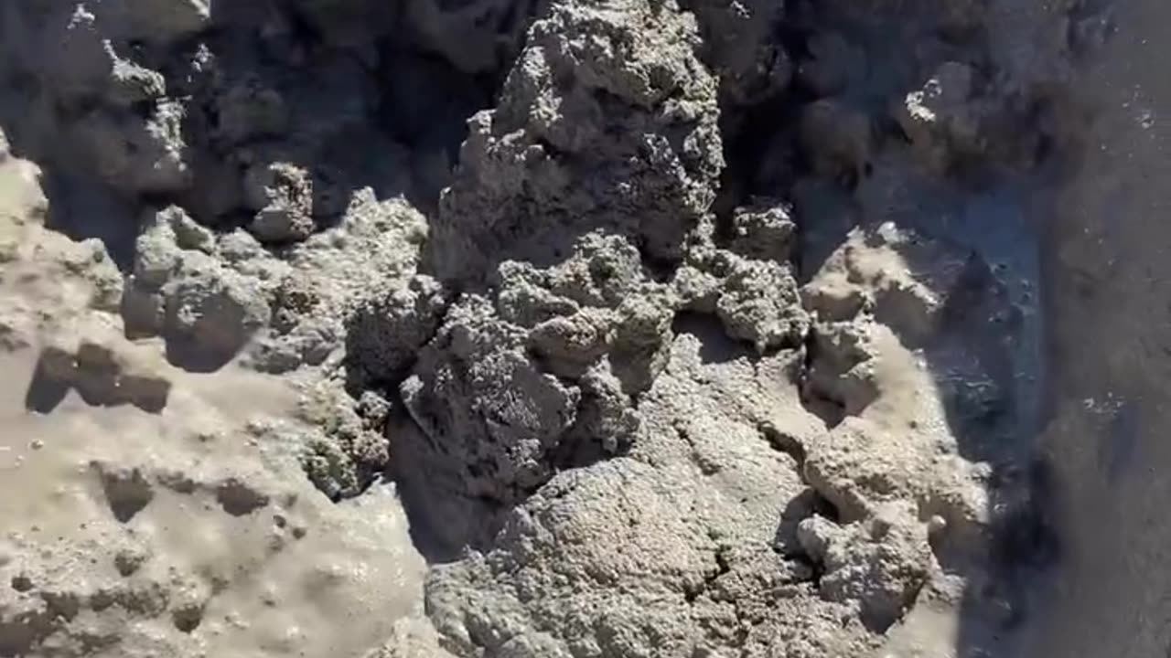 Extra Moist!