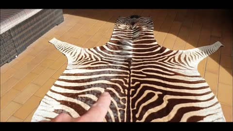 Very Rare Light Brown Zebra Skin