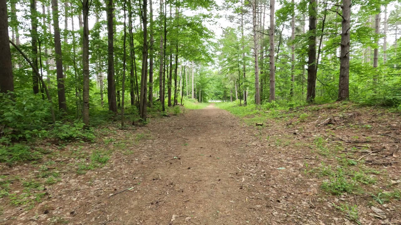 🟩 Greenbelt Trails #3 In Ottawa 🦌