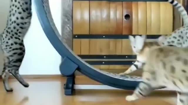 That's quite a party 🙌🙌😂