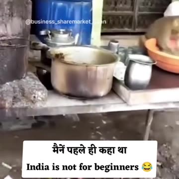 Funny moments with monkey 🐒