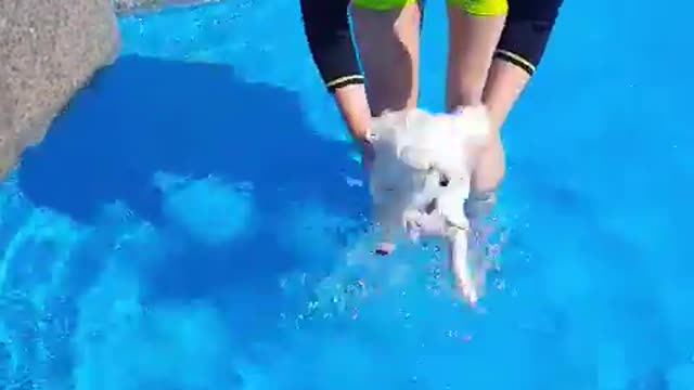 SooRi's First swimming pool