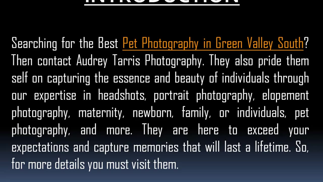 Best Pet Photography in Green Valley South