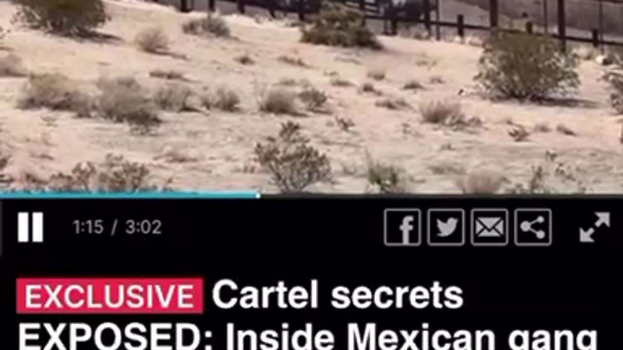 Cartel Secrets Exposed