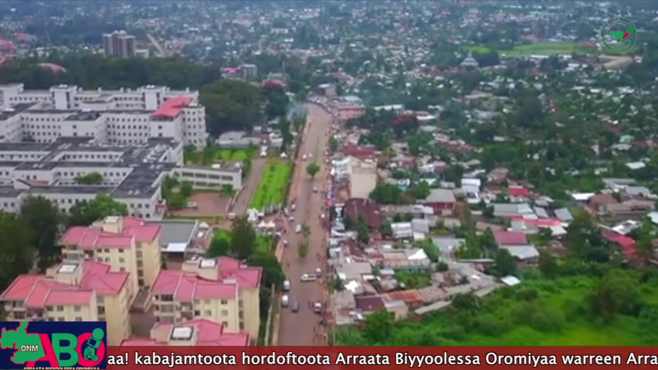 Oduu Waaree ONM-ABO Onkoloolessa 28-2024 itti dhiyaadhaa!