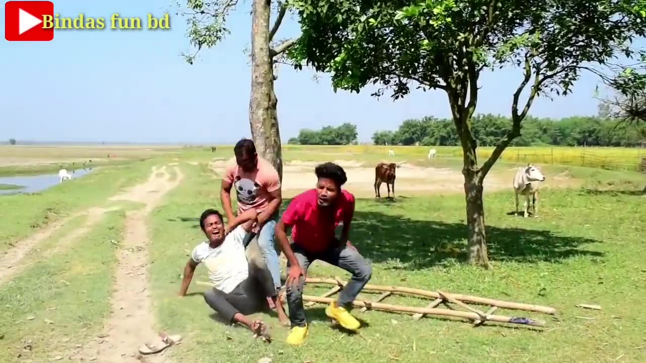 Funny Video