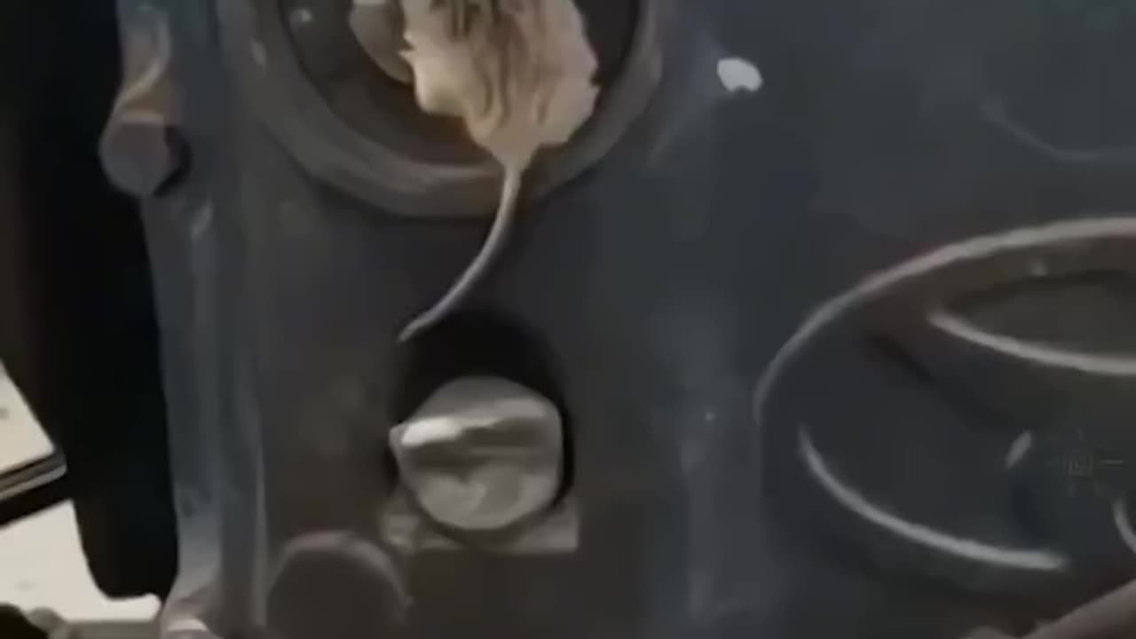 Omg!!