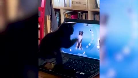 Best Funny Animal Videos 2022 😂 - Funniest Cats And Dogs Videos 😻 faster than the master