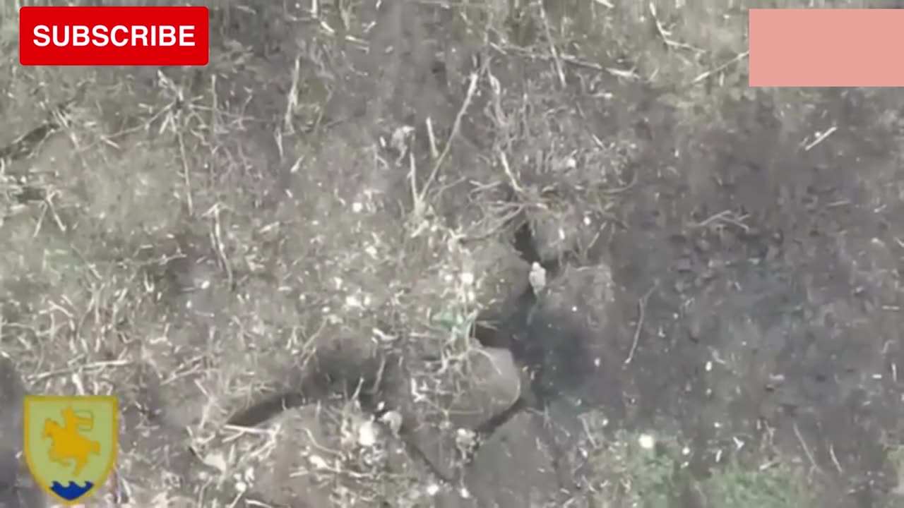 Shocking video from Ukraine:Ukrainian soldiers capture and destroy Russian soldiers