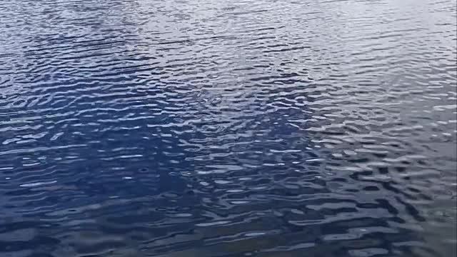 Relaxing Music
