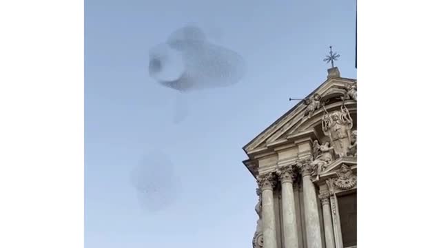 This animal is very cute and can make everyone happy when they see it