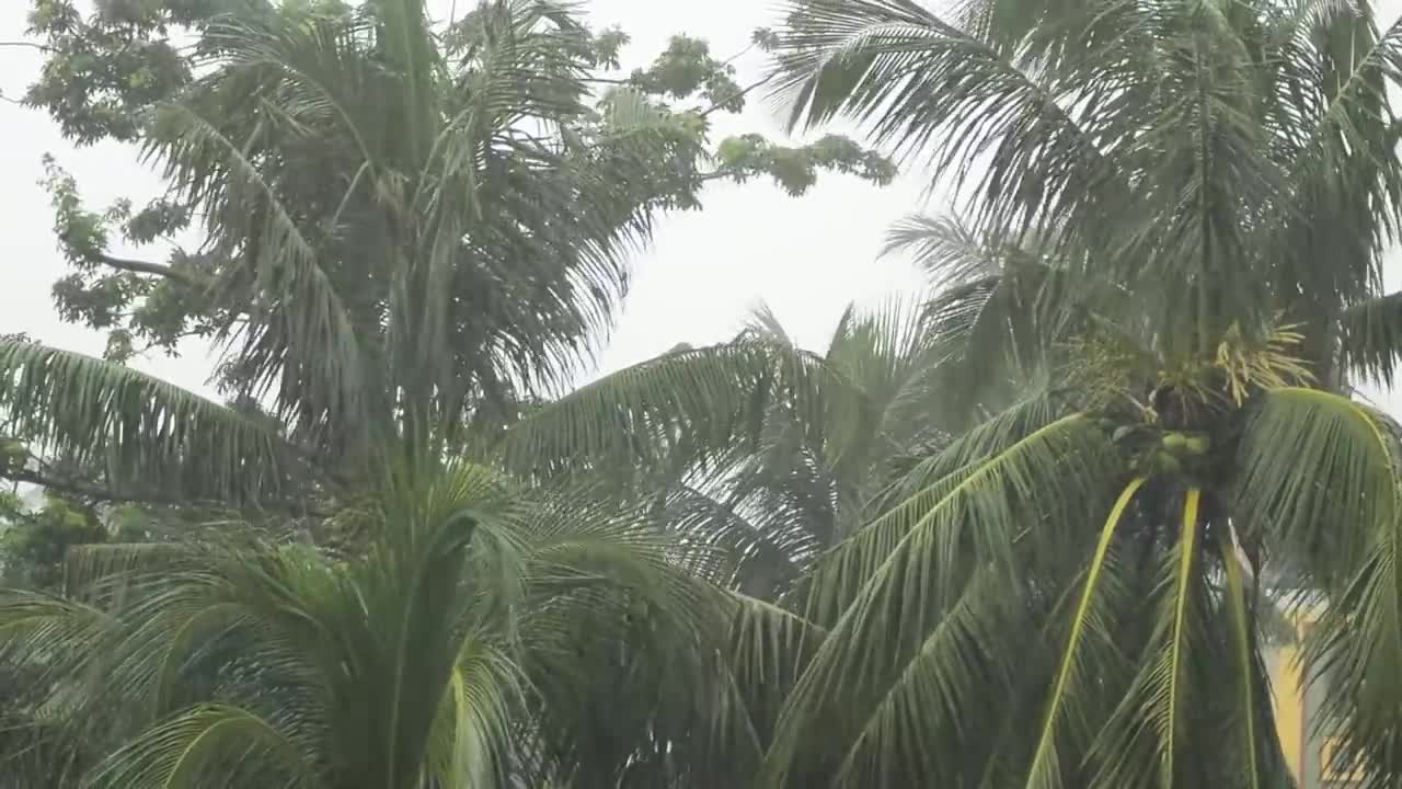 Sleep Instantly in Under 3 min With THUNDER and RAIN Sounds for Sleep and Relaxation Zen Screen