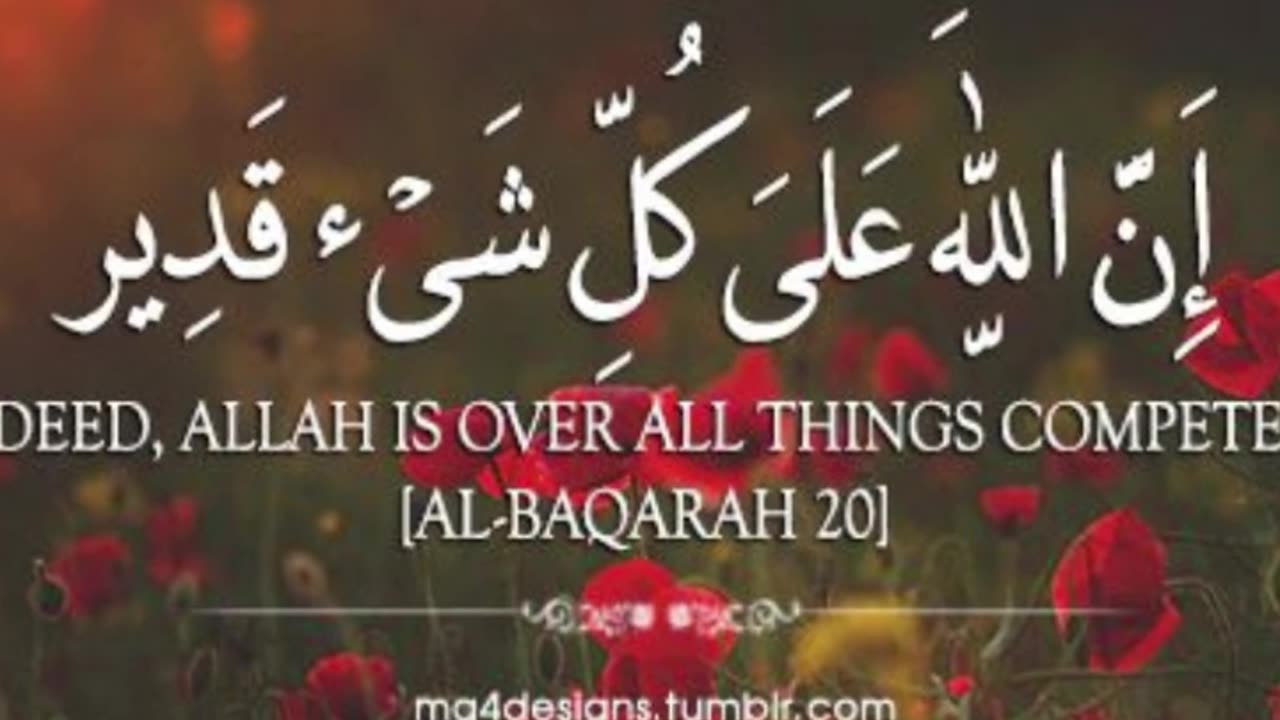 Allah Says | Islamic Quotes