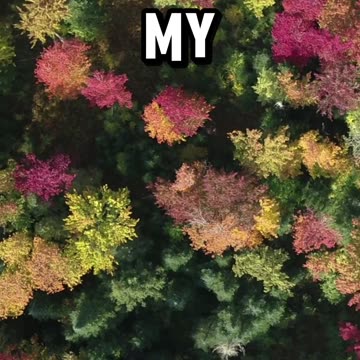 God Will Work Out His Plans For Your Life😇