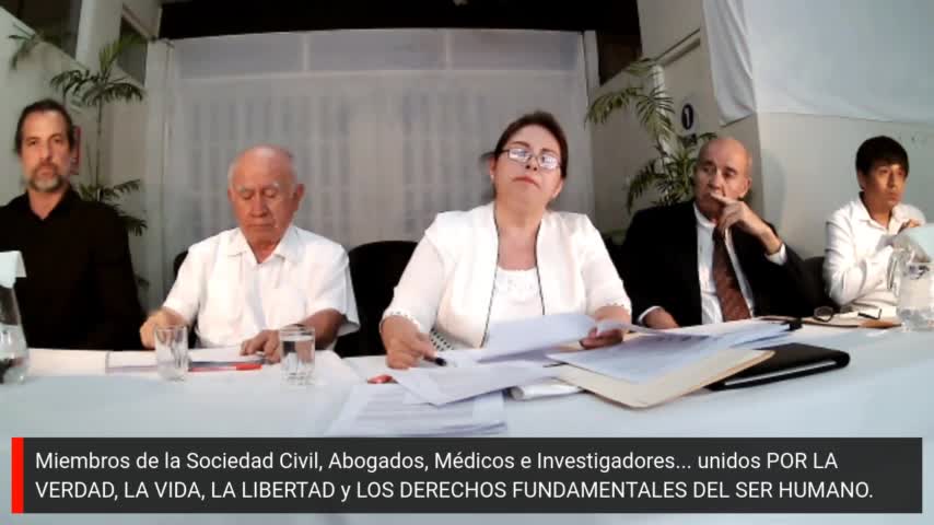 Panel sobre Vacunas en Perú Colectivo Pro Verdad - Liderado Beatriz Mejia 12 Enero 2022