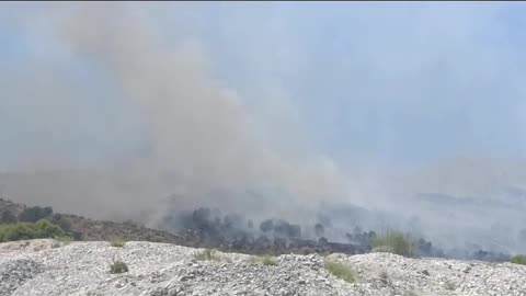Pisha Gjirokaster