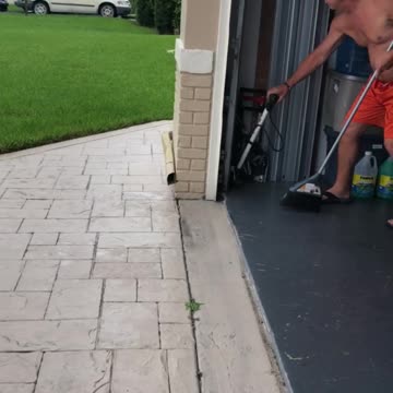 It's A God Damn Water Moccasin