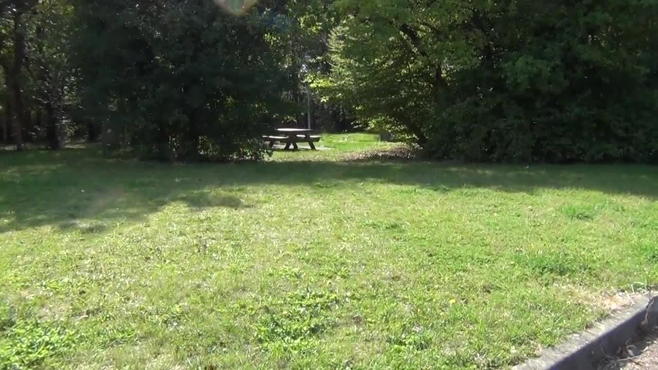 Homeless Sean Hross Giureh-Chatzefratz eats from Garbage Can because of the Pirates of Switzerland