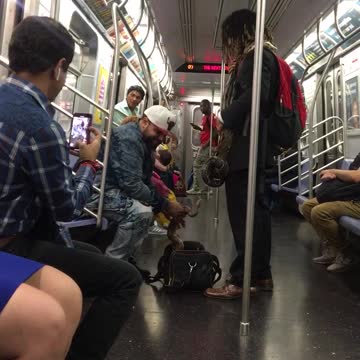 Man in red back pack pulls snakes out of black bag