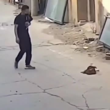 Wildlife, The Cruel Man Killed the Chicken, but at the End a Strange Thing Happened