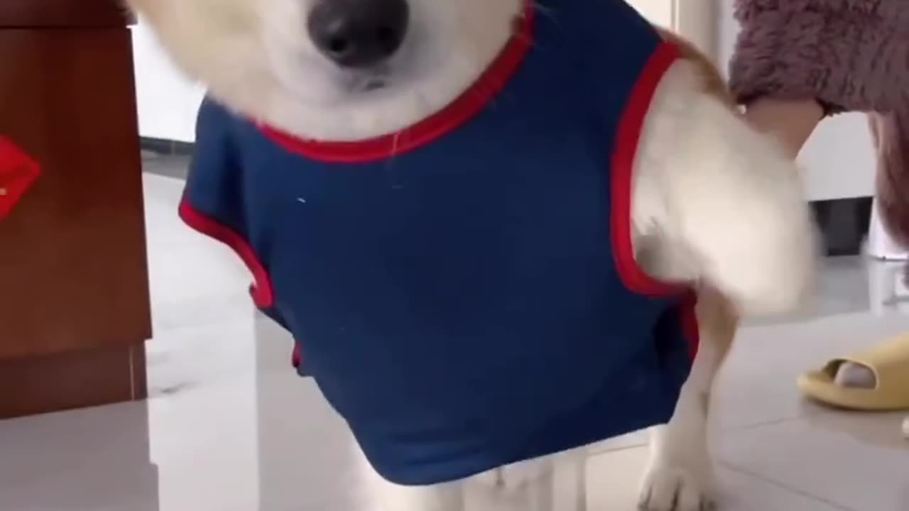 The cutest video you will find on internet 🥰