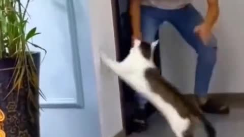 Ambush....😍😍😍