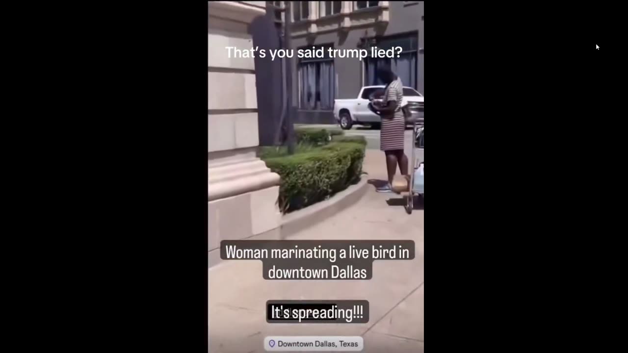 Downtown Dallas, Texas a Woman is filmed eating a wild bird