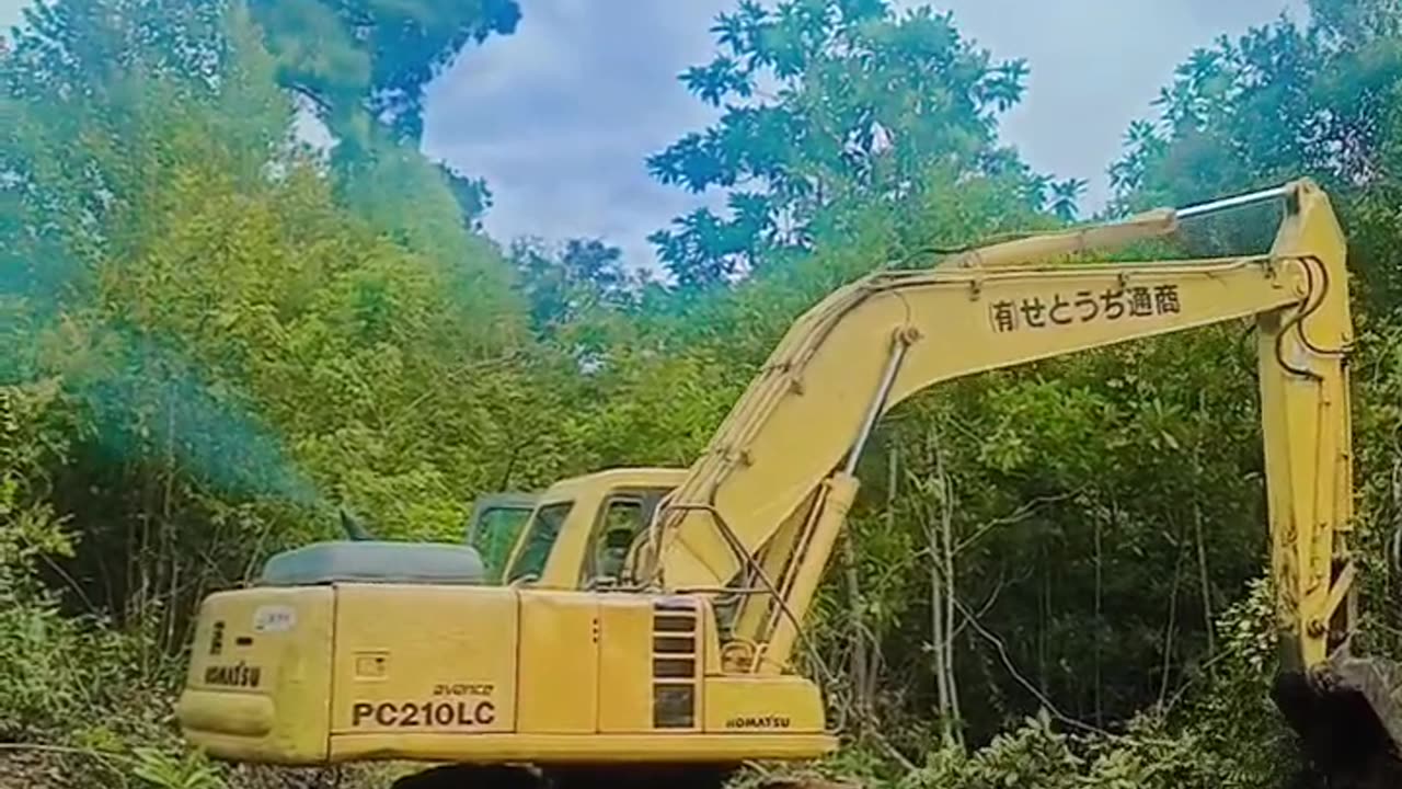 Excavator Trying to Clear Wild Debt