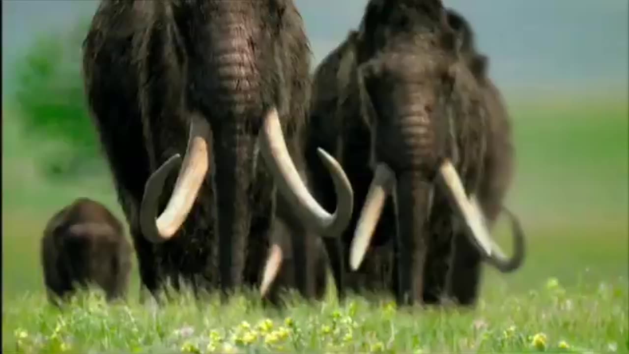 British Isles: A Natural History - Ice Age