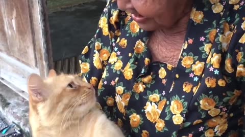 An old woman is talking to her cute pet cat.