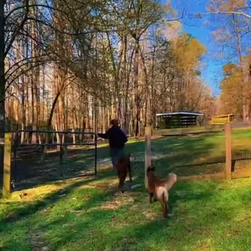 hat’s actually really smart idea