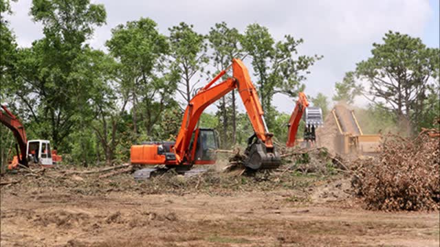 Massey Logging & Grading - (336) 203-4004